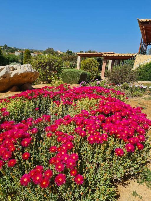 Guesthouse Petrothalassa Porto Heli Exterior photo